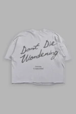 Pennywise Premium Raw Hem Box Cut Tee In Dove Gray